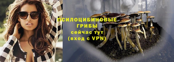 прущий лед Алексин