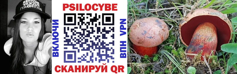 наркота  Чердынь  Псилоцибиновые грибы Cubensis 